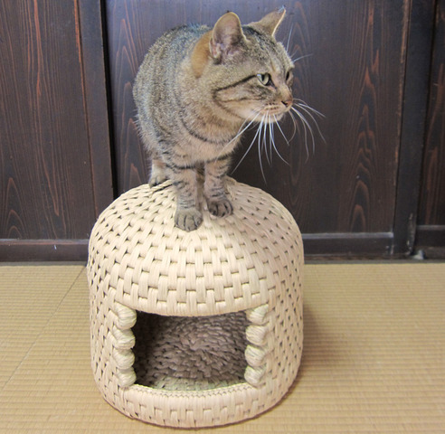 猫ちぐらは日本のキャットハウス｜関川村の本家は生産待ちだから自分で